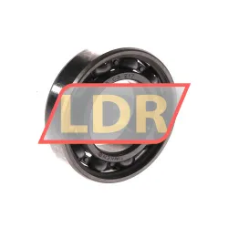 Timken 6005C3