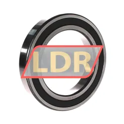 Timken 6021-2RS-C3