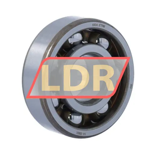 SKF 6304ETN9