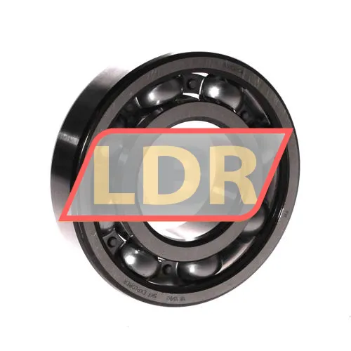 SKF 6310/C4