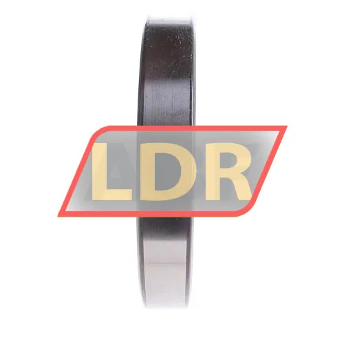 SKF 6024-2RS1 ürün fotoğrafı 4