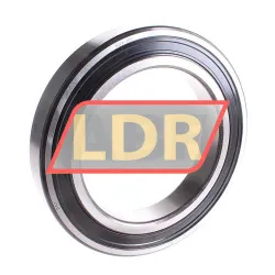 SKF 6024-2RS1
