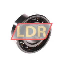 SKF 6004TN9/C3