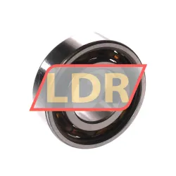 SKF 6004TN9/C3 rulman resim 2