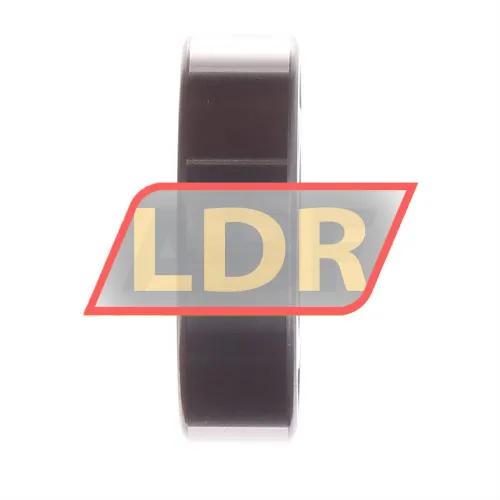 SKF 6004-2Z/C3WT ürün fotoğrafı 2