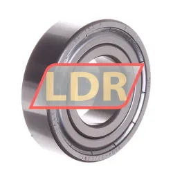 SKF 6004-2Z/C3WT