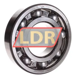 SKF 6317