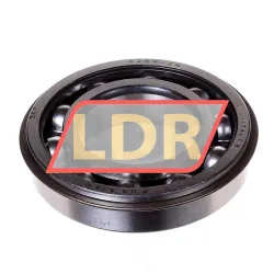 SKF 6209-ZNR