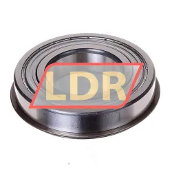 SKF 6209-ZNR rulman resim 2