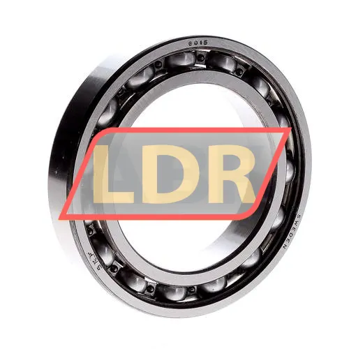 SKF 6015