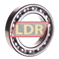 SKF 6014