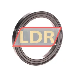 Timken 61813-ZZ rulman resim 2