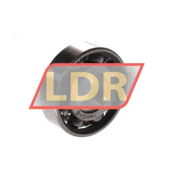 Timken 6001