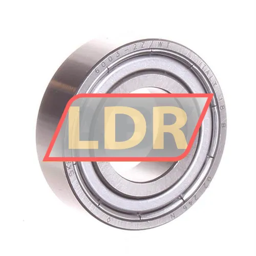 SKF 6003-2Z/WT