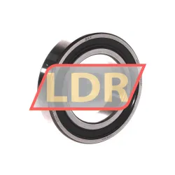 SKF 6009-2RS1/C3W64F