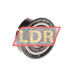Timken 6002-ZZC3