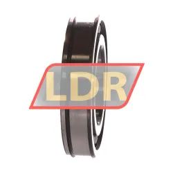SKF 6213N/C3 rulman resim 3