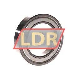 SKF 6010-2Z/GJN rulman resim 2