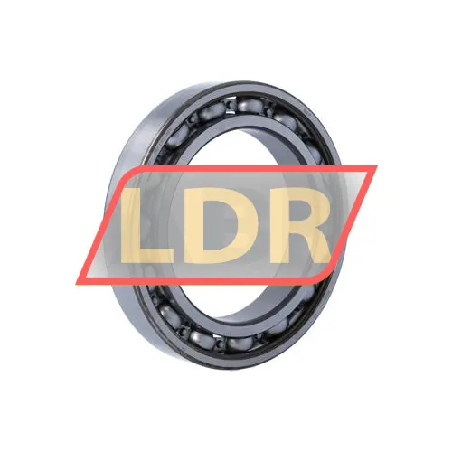 SKF 6020