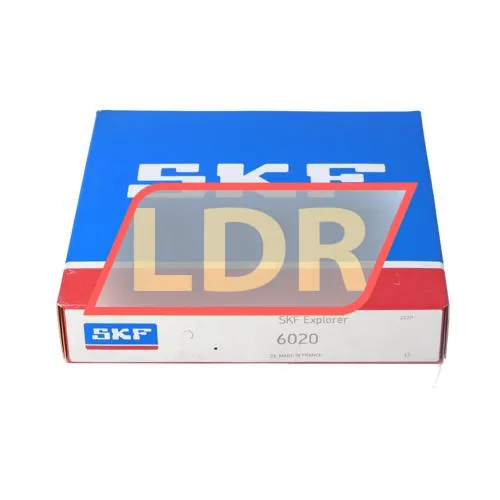 SKF 6020 ürün fotoğrafı 3