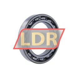 SKF 6020