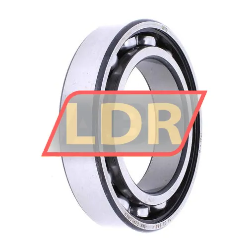 SKF 6010 ürün fotoğrafı 2