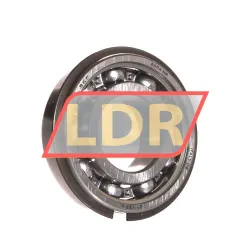SKF 6004NR