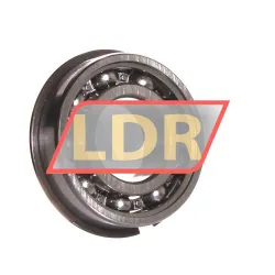 SKF 6004NR rulman resim 2