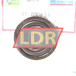 SKF E2-6001-2Z/C3