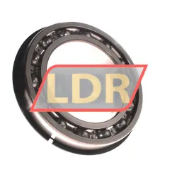Timken 6022-NR rulman resim 2