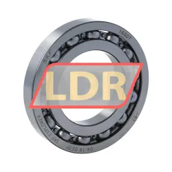 SKF 16007