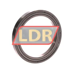 Timken 61810-ZZ