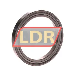 Timken 61810-ZZ rulman resim 2