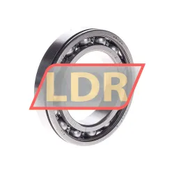 SKF 6010N