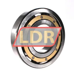 SKF 6322M/C3 rulman resim 2