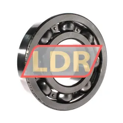 SKF 6321