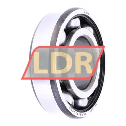SKF 6310 rulman resim 2