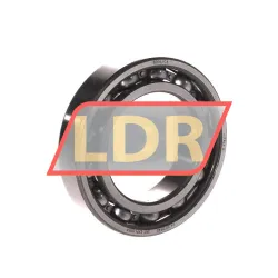 SKF 6009/C4