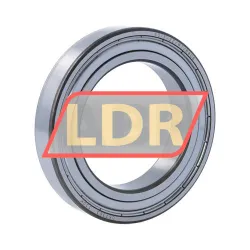 SKF 6013-2Z/WT/R806