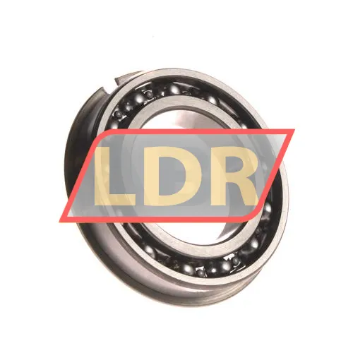 NSK 6009NRC3 ürün fotoğrafı 2