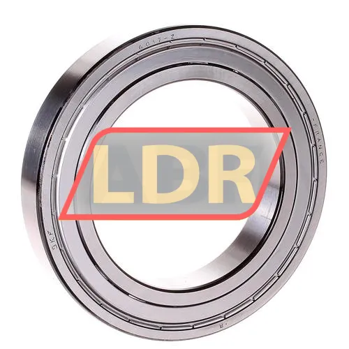 SKF 6017