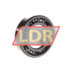 SKF 6006/C3 rulman resim 2