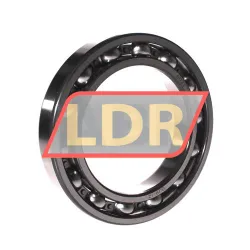 Timken 6021