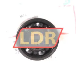 SKF 6000-RSH