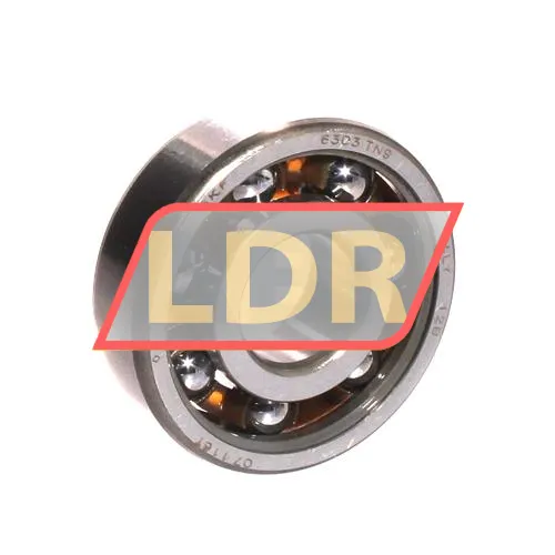 SKF 6303TN9