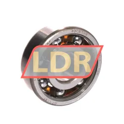 SKF 6303TN9