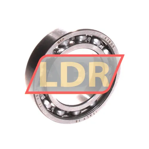 SKF 61905