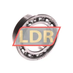 SKF 61905