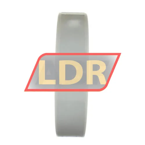 SKF 6319M/C3VL0241 ürün fotoğrafı 4