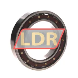 IBC Bearings 6014-TB-P63